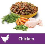 8kg bag of Pedigree Dry Dog Food with Real Chicken, promoting healthy skin, strong teeth, and good digestion for adult dogs.