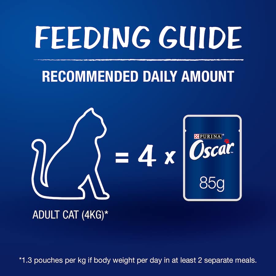 Gourmet OSCAR wet cat food featuring tender salmon pieces in jelly for a nutritious and enticing feline meal.