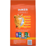 Iams Dry Cat Food with Chicken & Salmon, designed for hairball control and digestive health in indoor and outdoor cats.