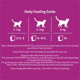 Whiskas Wet Cat Food Beef Favourites In Gravy Pouch 18x85g