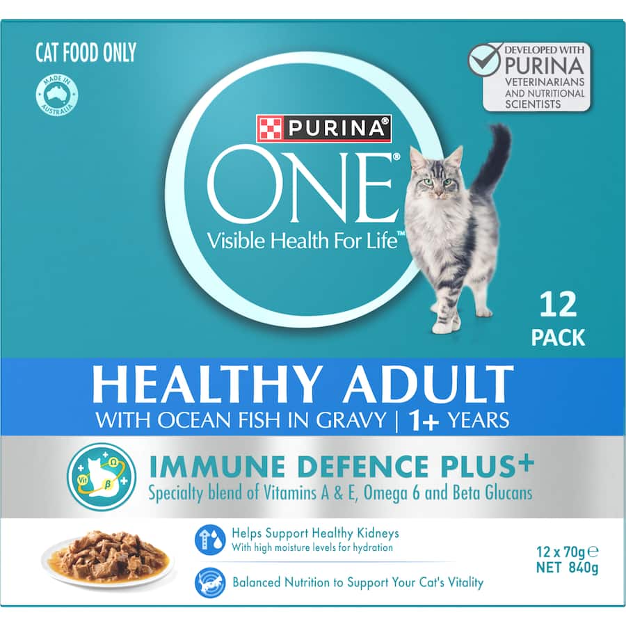 Purina One Wet Cat Food Ocean Fish featuring real ocean fish, supports immune health with essential nutrients and delicious taste.