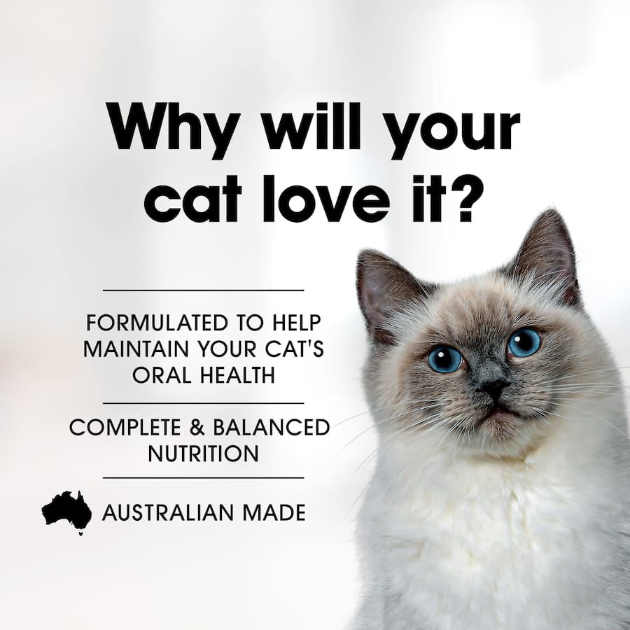 Fussy Cat Grain Free Dry Cat Food with Kangaroo & Sweet Potato, providing meat-rich nutrition for healthy digestion and lean muscle.