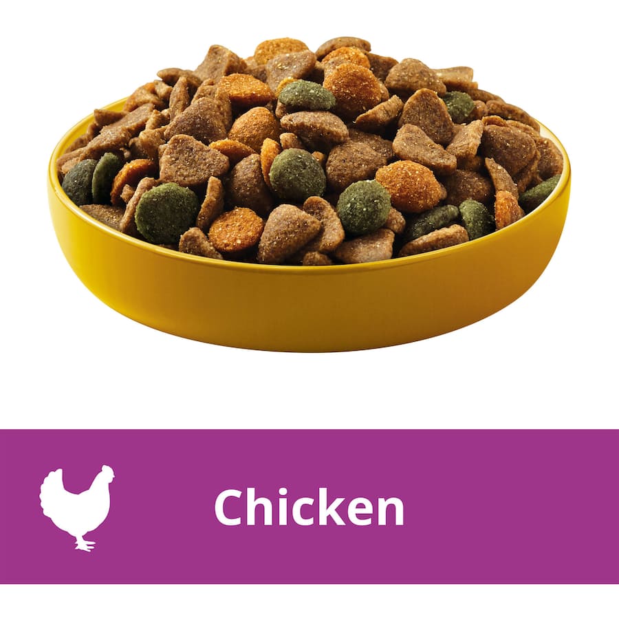 Pedigree Small Breed Dry Dog Food with Real Chicken in a 2.5kg bag, promoting strong bones, digestion, skin, and immune health.