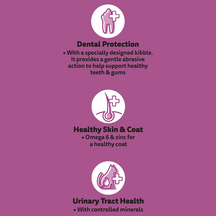 Whiskas Dry Cat Food Chicken & Rabbit provides balanced nutrition with real meat for healthy skin, dental protection, and vitality.
