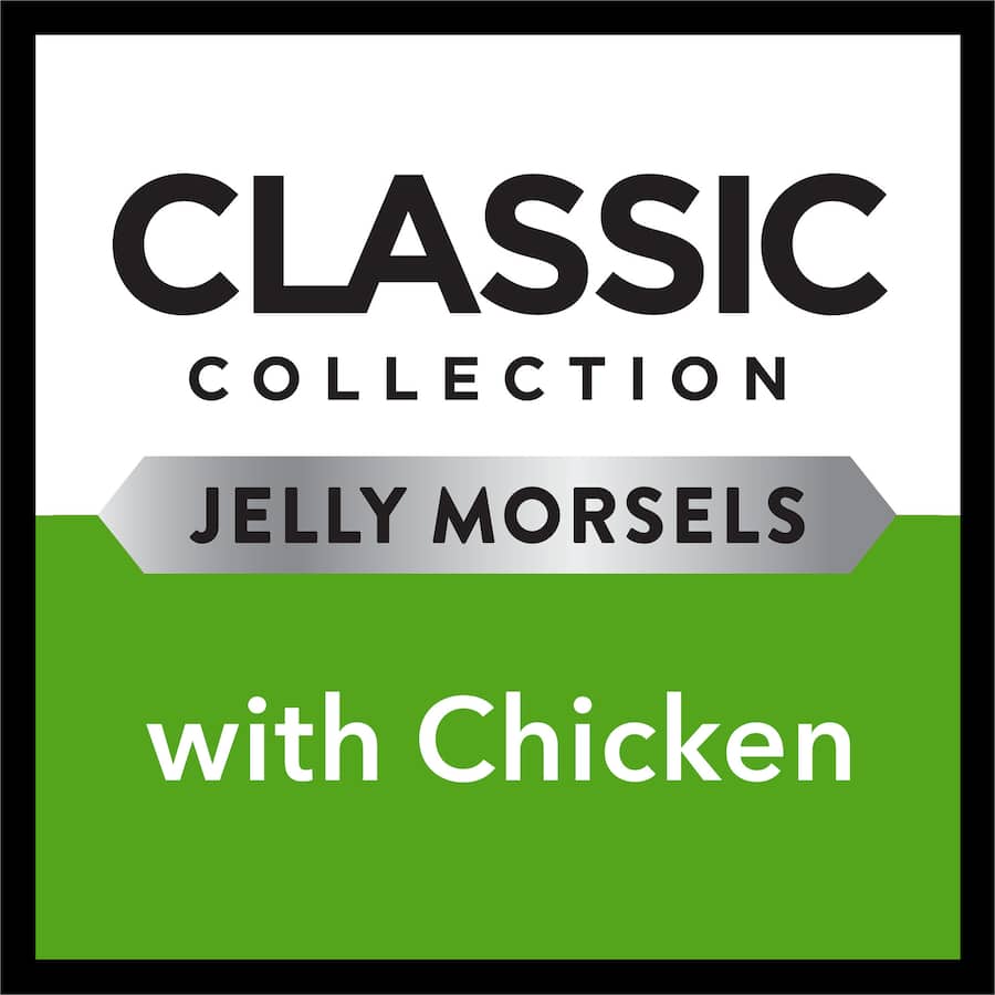 Tender chicken morsels in jelly, offering gourmet wet cat food for nutritious and delightful feline dining experiences.