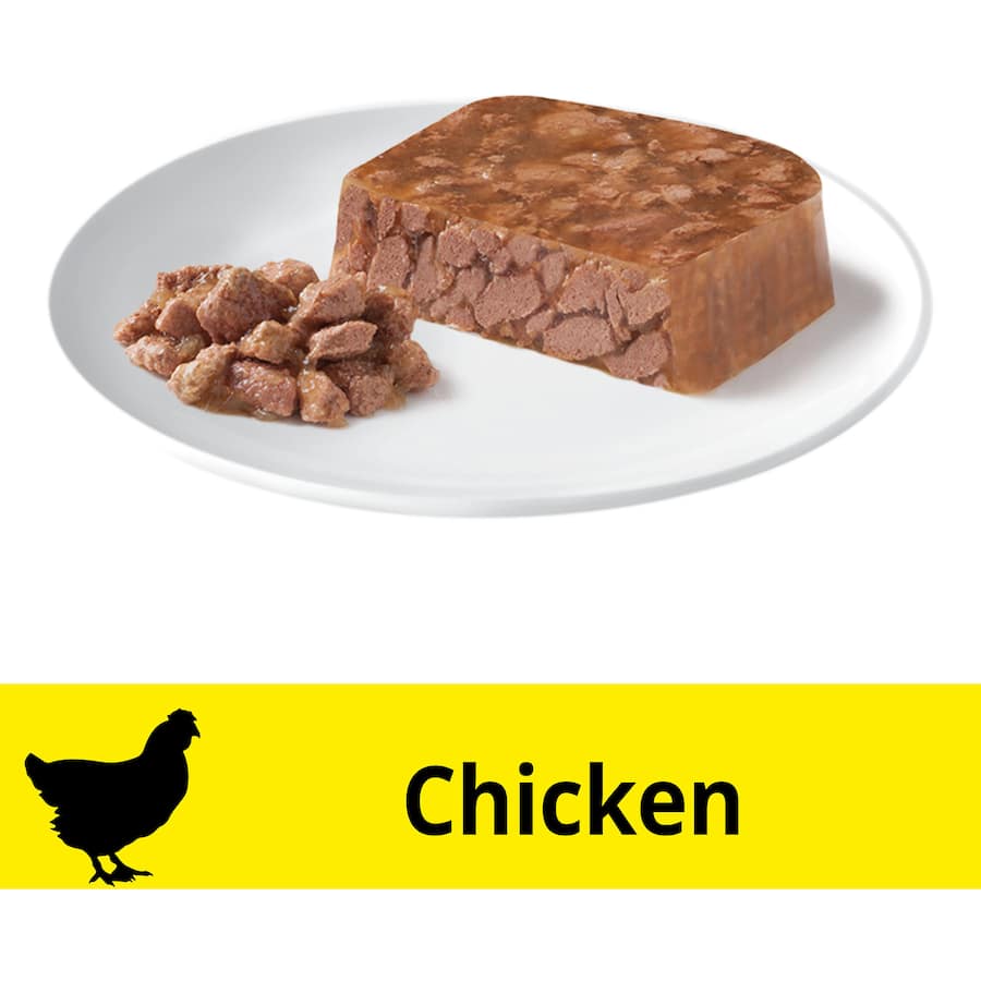 Tender chicken morsels in jelly, offering gourmet nutrition and irresistible flavor for your feline friend.