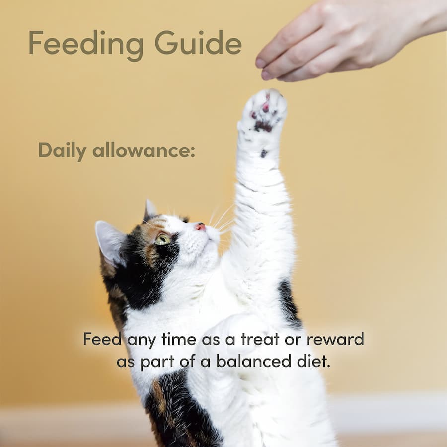 Applaws Loin Cat Treats Whole Tuna Loin Bag 30g