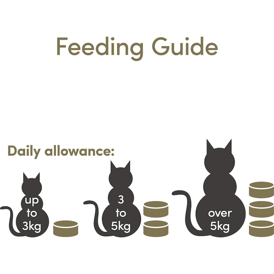 Applaws Wet Cat Food Tuna Fillet In Broth Tin 70g