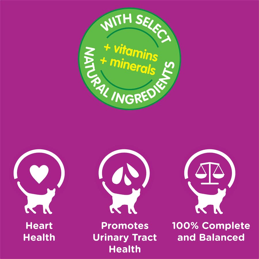 Whiskas Senior Wet Cat Food in jelly offers balanced nutrition with three flavors, promoting heart and urinary health for cats 7+.
