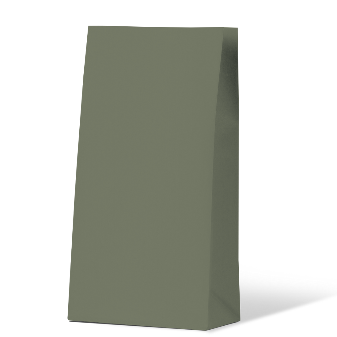 Gift Paper Bag - Earth Green Medium Coloured (500 Units)