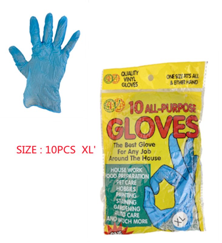 PVC GLOVES - XL (12 Packs)