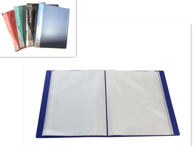 Clear File (Set of 12 Assorted)