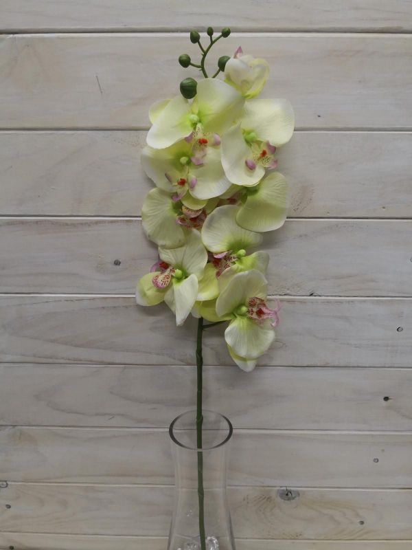 Artificial Phalaenopsis Orchid (Green)