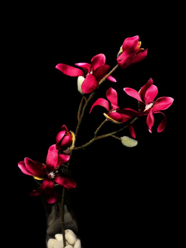 Artificial Star Magnolia Stem (Burgundy)