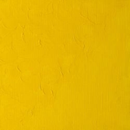 Winsor & Newton Winton Oil Colour 200ml - Cadmium Yellow Pale Hue (119)