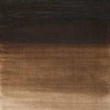 200ml tube of Winsor & Newton Winton Oil Colour in Raw Umber, offering rich, vibrant earth tones for detailed artwork.