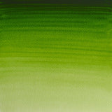 Permanent Sap Green watercolour tube by Winsor & Newton, showcasing a rich, deep hue ideal for nature-inspired artwork.