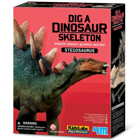 Kids excavate and assemble a Stegosaurus skeleton with this hands-on paleontology kit by 4M, promoting fun and education.