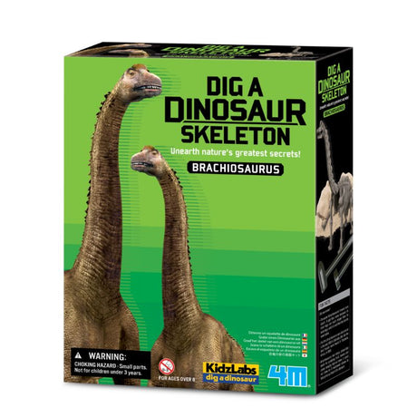 Children excavate and assemble a Brachiosaurus skeleton, fostering creativity and STEM learning with 4M's archaeological kit.