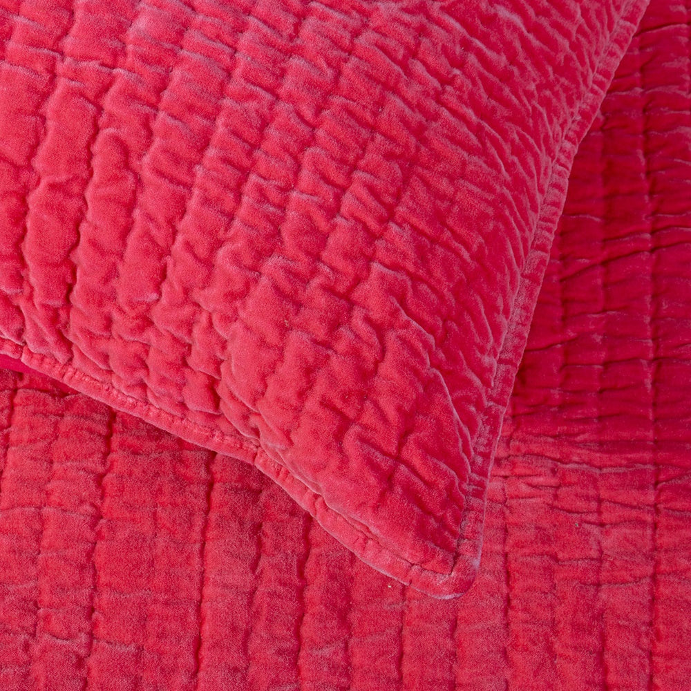 Vibrant fuchsia pink cotton velvet pillowcase, 50 x 70cm, plush 220 gsm filling, perfect for stylish bedroom decor.