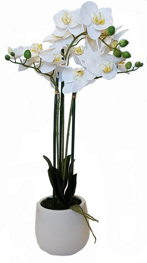 Real touch artificial orchid plant in a stylish pot, measuring 83.8cm, perfect for home or office decor.