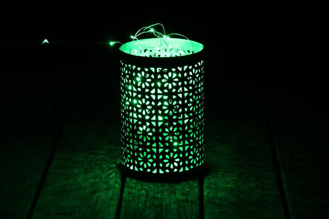 "Enchanting 10M green Seed Fairy Lights on silver wire, featuring 100 energy-efficient LEDs for magical indoor decor."