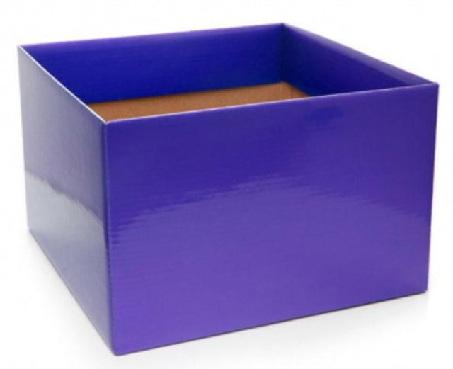 Pack of 10 large violet posy boxes, measuring 22x14cmH, perfect for elegant floral arrangements and gifts.