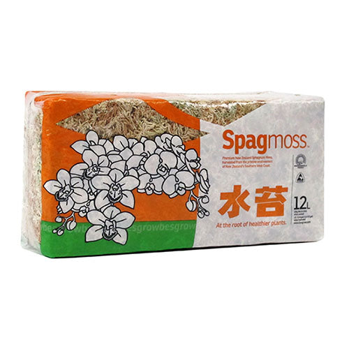 Lightweight sphagnum moss in a 150g package, enhancing moisture retention and supporting healthy plant growth.