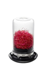Sprouting Jar Bavita by GEFU, a stylish glass jar for cultivating nutritious sprouts at home in just one week.
