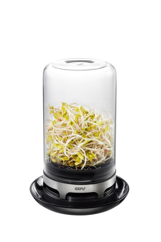 Sprouting Jar Bavita by GEFU, a stylish glass jar for home sprouting of nutritious seeds like alfalfa and mung beans.