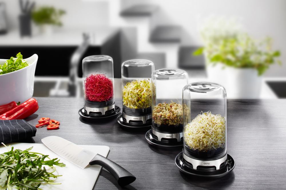 Sprouting Jar Bavita by GEFU, ideal for home sprouting of various seeds with a glass dome and integrated ventilation.