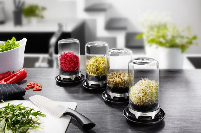 Sprouting Jar Bavita by GEFU, ideal for home sprouting of various seeds with a glass dome and integrated ventilation.
