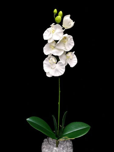 Lifelike Phalaenopsis orchid spray with white blooms and green leaves, perfect for elegant decor and floral arrangements.