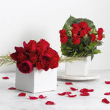 Sleek white ceramic Bondi Cube, 18x18x14cmH, perfect as a planter or stylish storage accent for modern decor.
