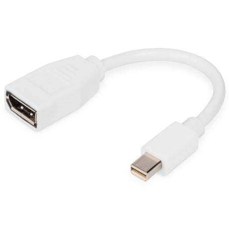 Ednet mini DisplayPort to DisplayPort adapter cable for seamless 4K video and audio connections from Mac devices to monitors.