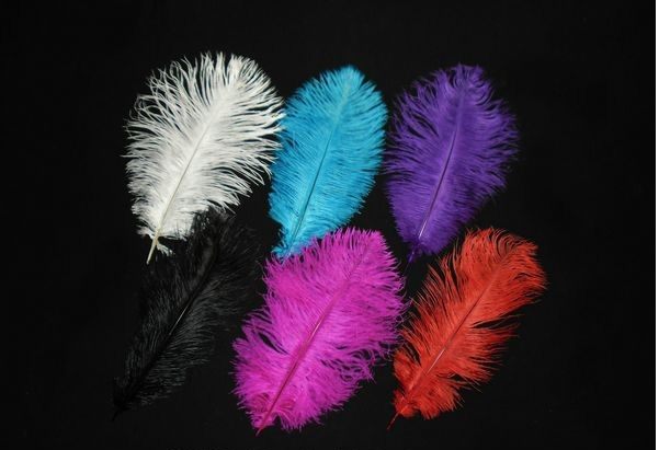 Ostrich feather - 30cm (Set of 8 Assorted) - CLEARANCE PRICE