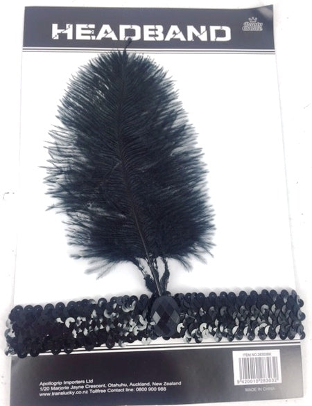 Black headband with elegant feather detail, perfect for Halloween, parties, and enhancing stylish outfits.