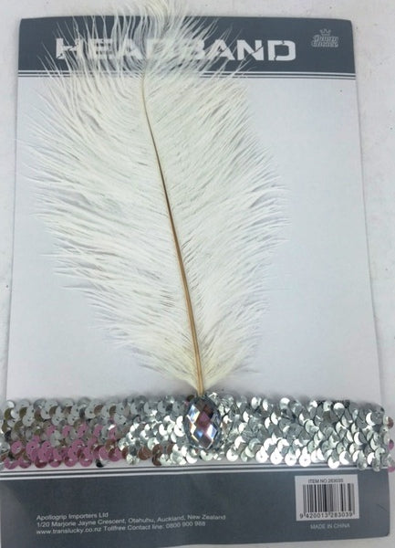 Elegant silver headband adorned with a feather, perfect for Halloween or themed events, enhancing any outfit with style.