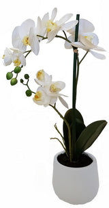 Lifelike 48.2cm Real Touch Orchid in two elegant sprays, perfect for home or office decor without maintenance.