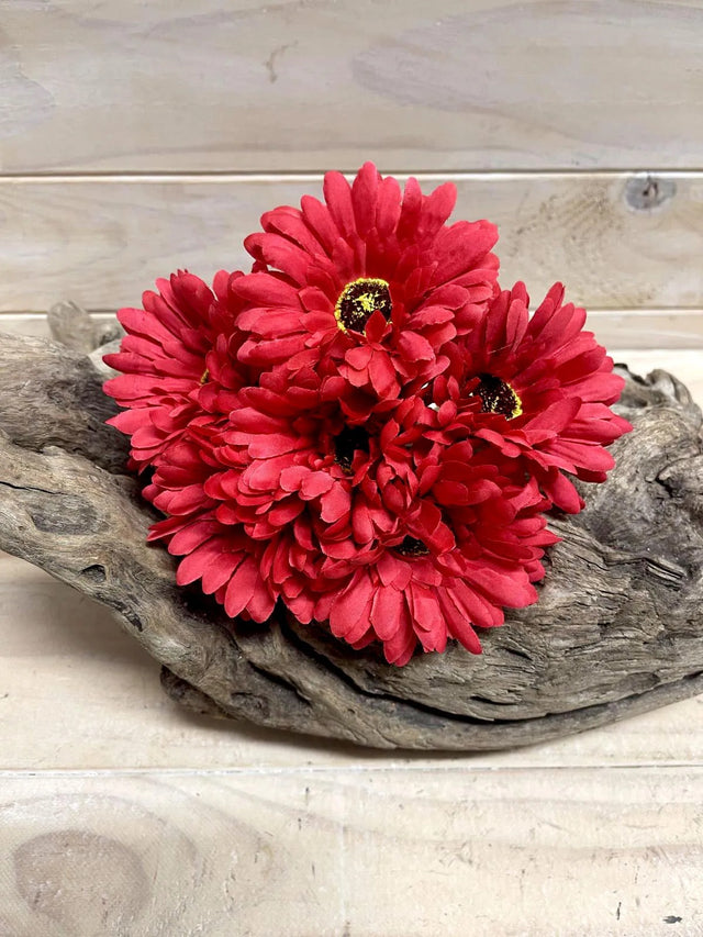 Vibrant Red Gerbera Posy, 26cm tall, perfect for gifting or decor, with fresh flowers on individual stems.