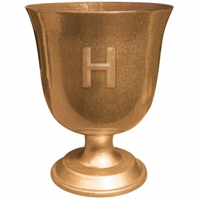 Intricately designed Harry Potter Goblet featuring detailed engravings, perfect for collectors and themed parties.