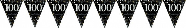 Banner - Sparkling Celebration 100 Prismatic Pennant - Plastic