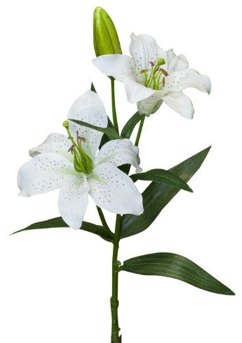 Realistic white Tiger Lily Spray (420mm) adds elegance and fresh style to any decor or floral arrangement.