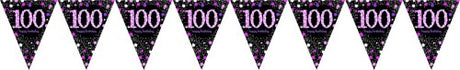 Vibrant pink prismatic pennant banner, 4m long, perfect for birthdays and celebrations, made from durable plastic.