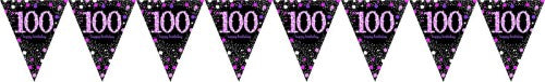 Vibrant pink prismatic pennant banner, 4m long, perfect for birthdays and celebrations, made from durable plastic.