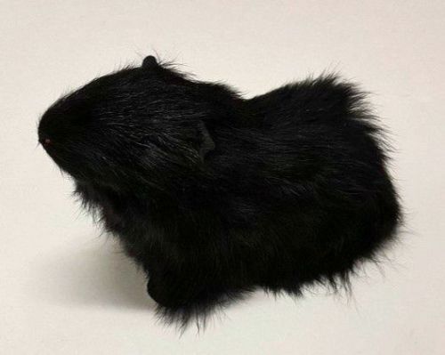 Black Guinea Pig Ornament, handcrafted with realistic details, perfect for animal lovers and stylish home decor.