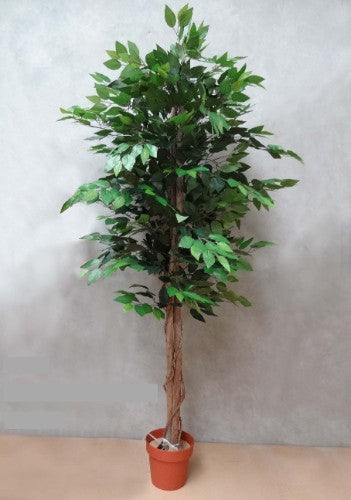 Lifelike 6ft artificial Ficus tree in a pot, perfect for low-maintenance indoor greenery and enhancing home decor.