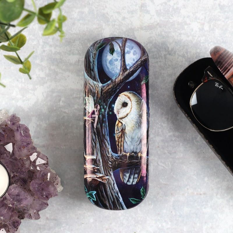 Fairy Tales glasses case by Lisa Parker featuring magical fairy and owl artwork, includes cleaning cloth and metallic logo.