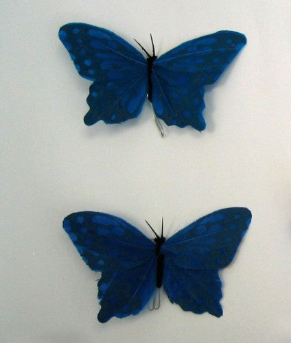 Artificial Craft Butterfly x12 (Blue)