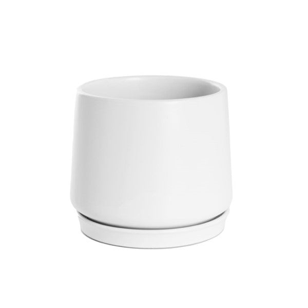 Elegant white ceramic belly pot and plate, 18cm wide and 16cm tall, perfect for indoor and outdoor plants.